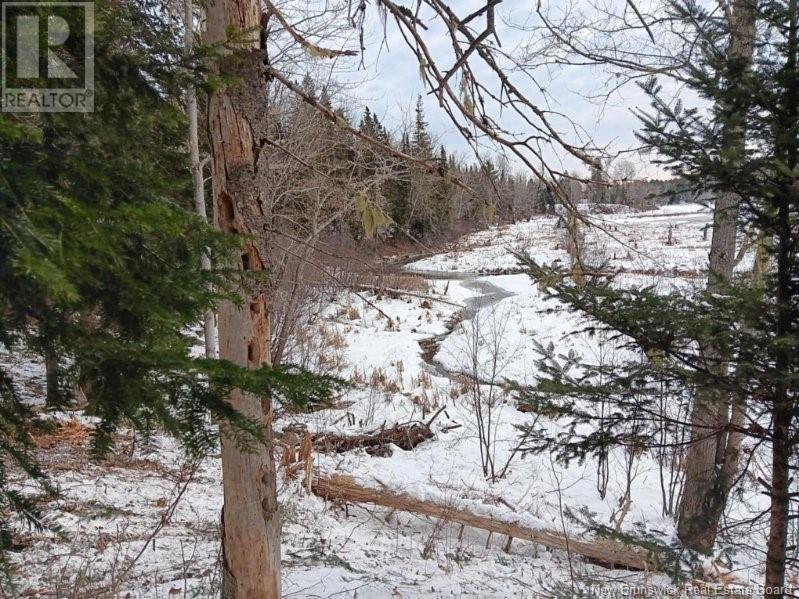 Lot 04-2 Route 690, Flowers Cove, New Brunswick  E4B 2E6 - Photo 31 - NB112803