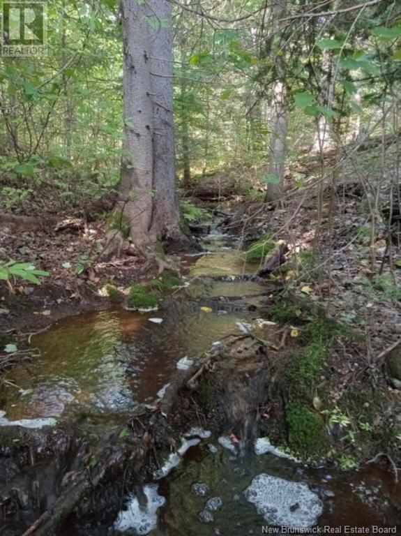 Lot 04-2 Route 690, Flowers Cove, New Brunswick  E4B 2E6 - Photo 35 - NB112803