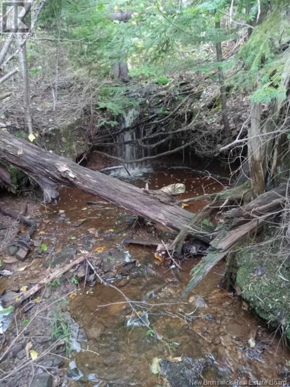 Lot 04-2 Route 690, Flowers Cove, New Brunswick  E4B 2E6 - Photo 36 - NB112803