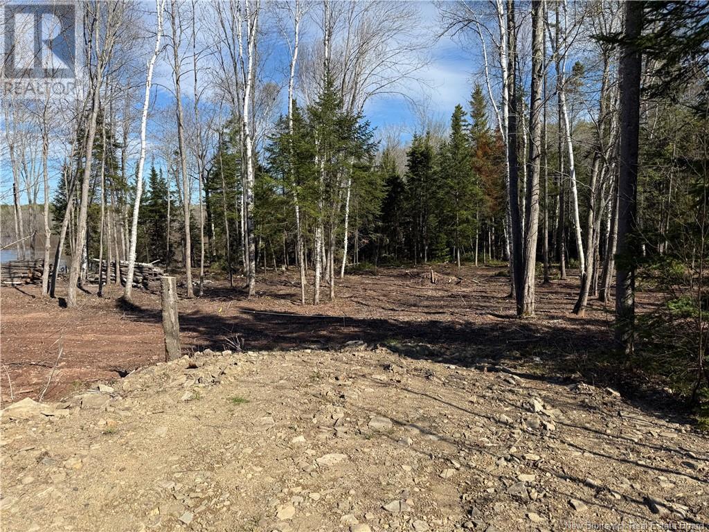 Lot 04-2 Route 690, Flowers Cove, New Brunswick  E4B 2E6 - Photo 5 - NB112803