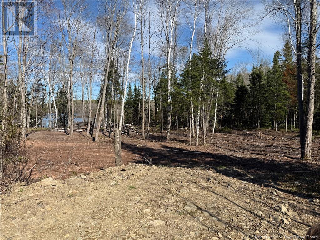 Lot 04-2 Route 690, Flowers Cove, New Brunswick  E4B 2E6 - Photo 6 - NB112803