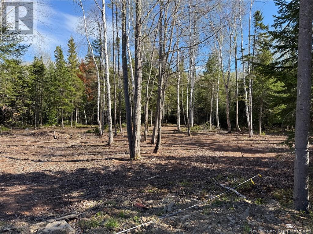 Lot 04-2 Route 690, Flowers Cove, New Brunswick  E4B 2E6 - Photo 7 - NB112803