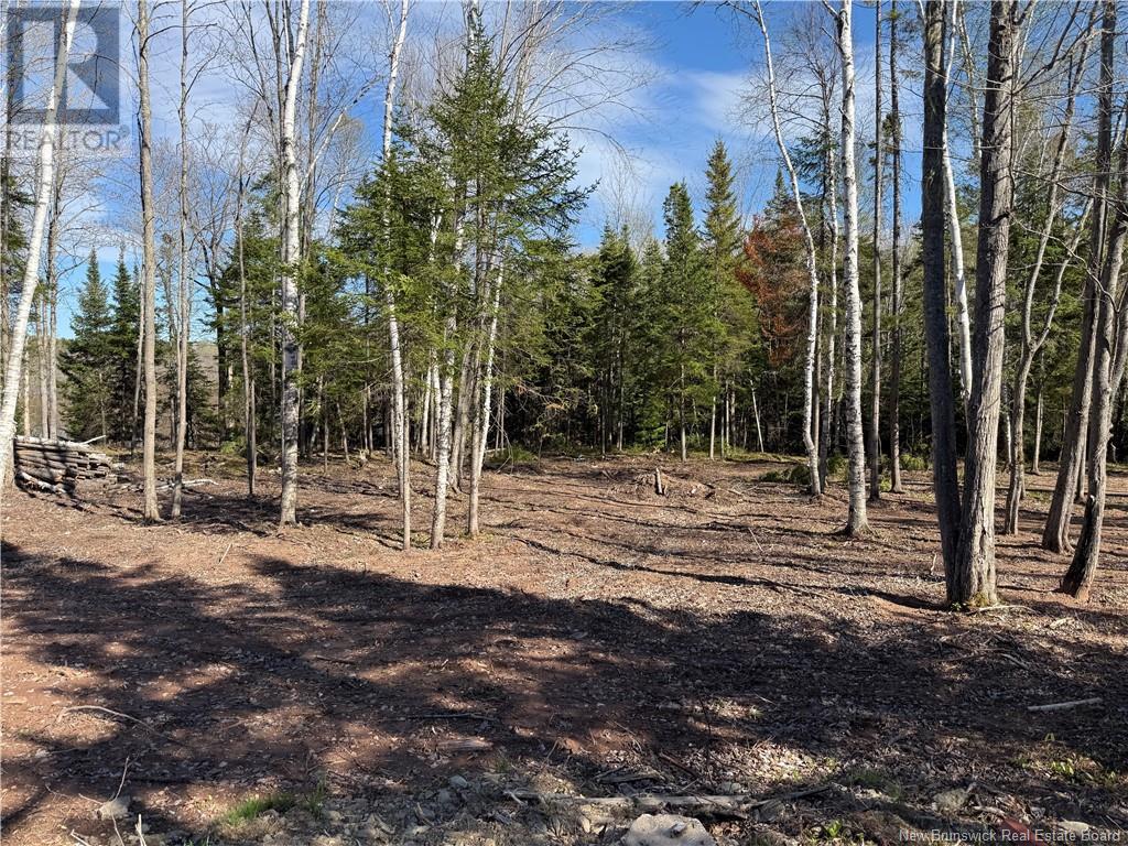 Lot 04-2 Route 690, Flowers Cove, New Brunswick  E4B 2E6 - Photo 8 - NB112803