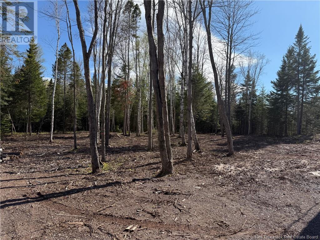 Lot 04-2 Route 690, Flowers Cove, New Brunswick  E4B 2E6 - Photo 9 - NB112803