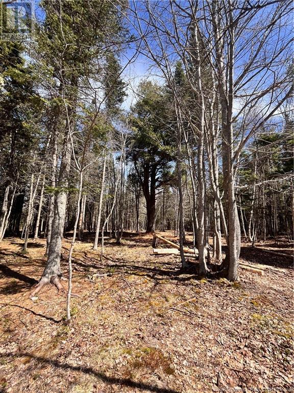 4454 Route 505, Richibouctou-Village, New Brunswick  E4W 1R6 - Photo 10 - NB112651