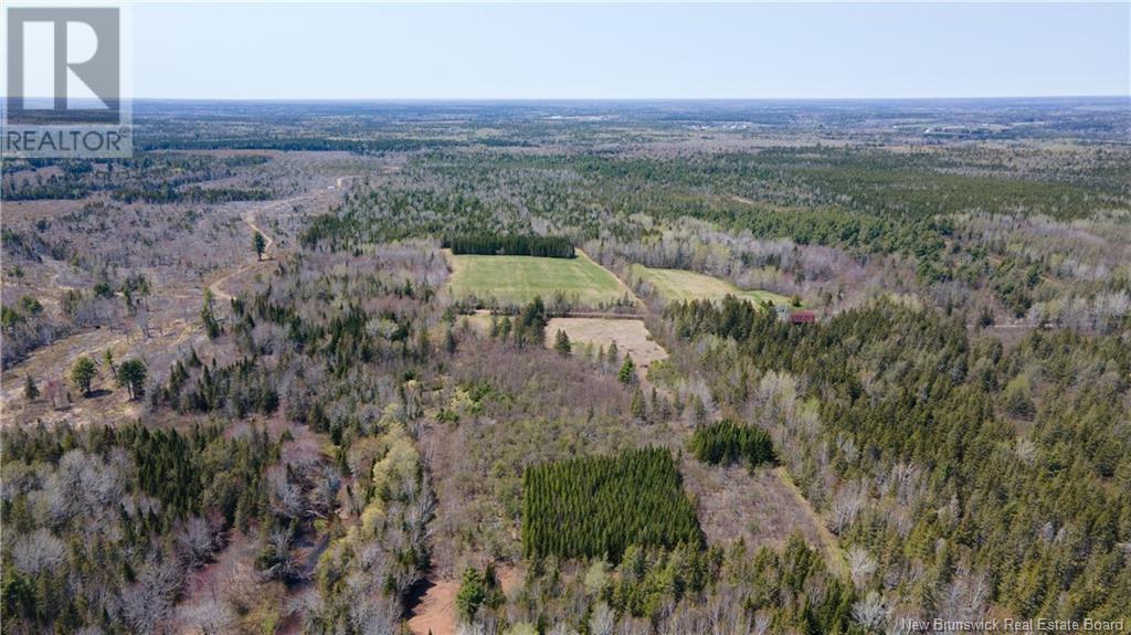 Lot 3 Shortall Road, South Branch, New Brunswick  E4W 3L9 - Photo 10 - NB112571