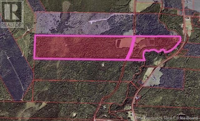Lot 3 Shortall Road, South Branch, New Brunswick  E4W 3L9 - Photo 11 - NB112571