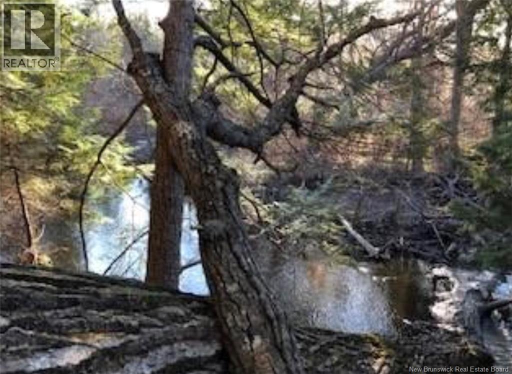 Lot 3 Shortall Road, South Branch, New Brunswick  E4W 3L9 - Photo 14 - NB112571