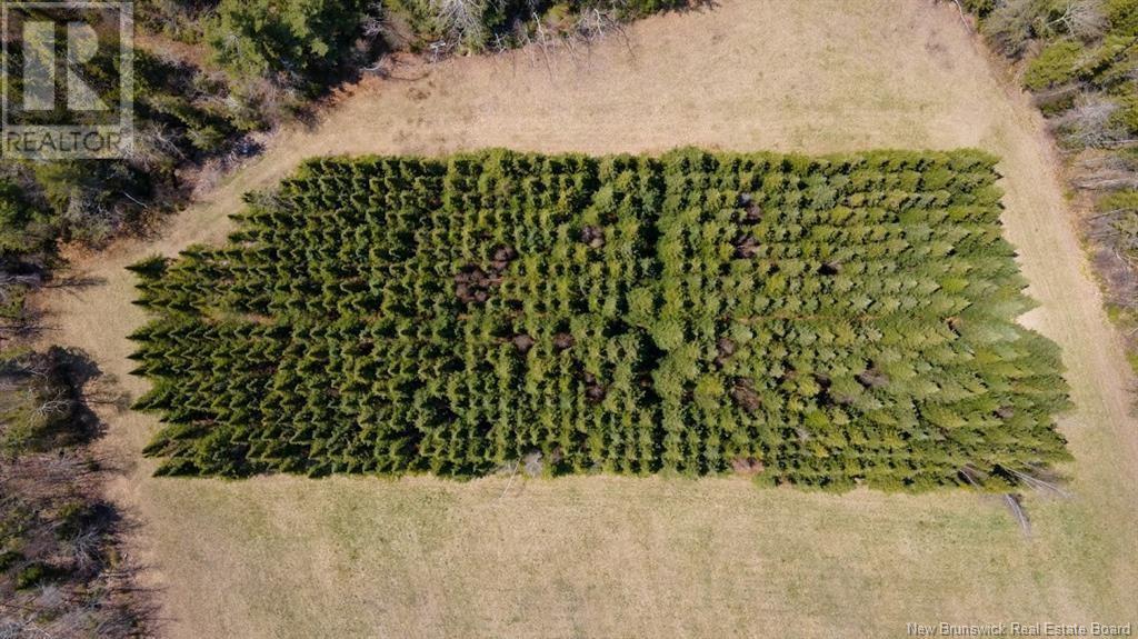 Lot 3 Shortall Road, South Branch, New Brunswick  E4W 3L9 - Photo 5 - NB112571