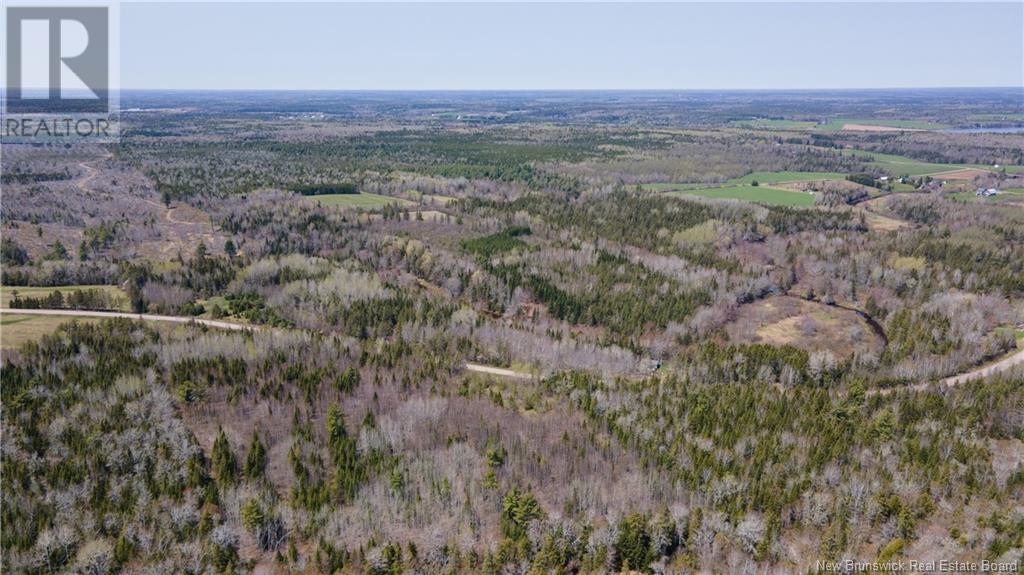 Lot 3 Shortall Road, South Branch, New Brunswick  E4W 3L9 - Photo 6 - NB112571
