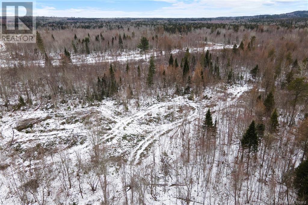 Lot 24-6 Cumberland Bay South Road, Cumberland Bay, New Brunswick  O0O 0O0 - Photo 16 - NB113273