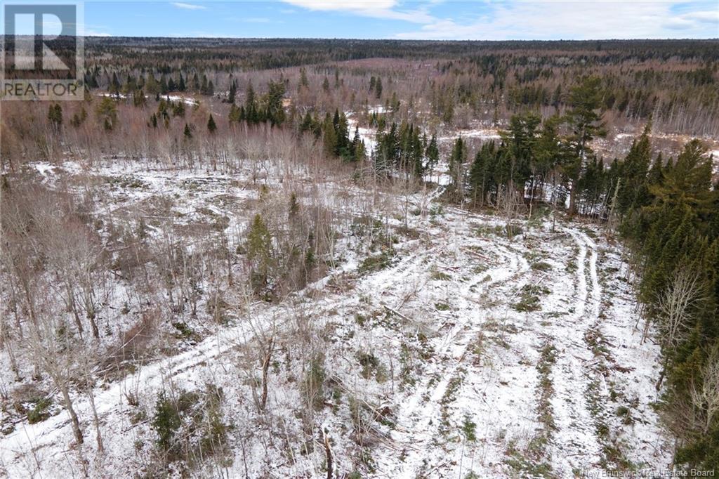Lot 24-4 Cumberland Bay South Road, Cumberland Bay, New Brunswick  O0O 0O0 - Photo 17 - NB113271
