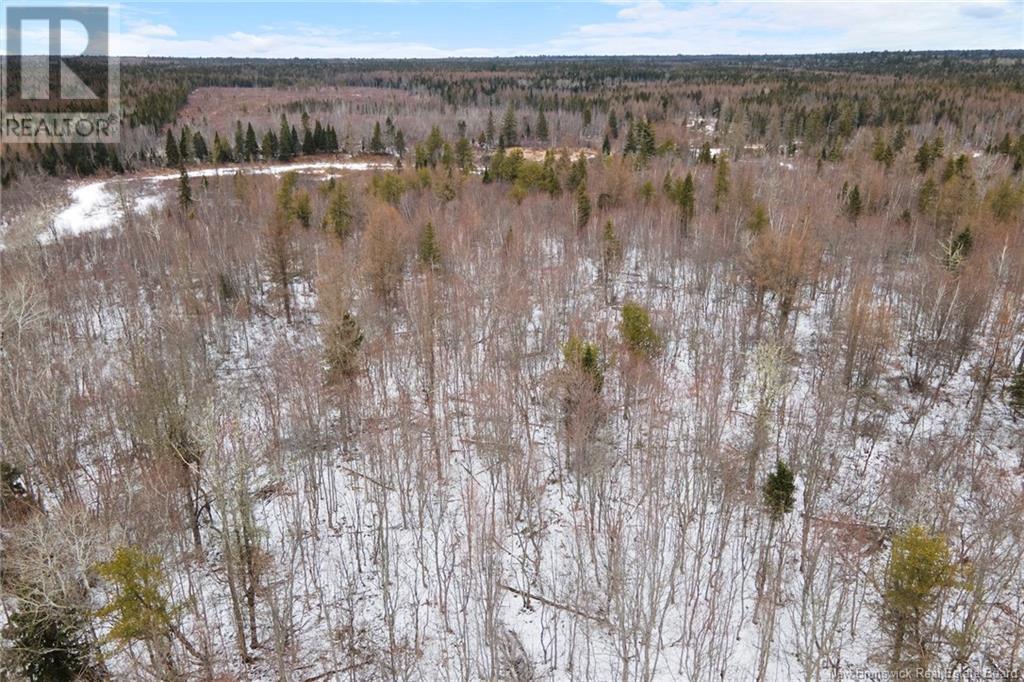 Lot 24-2 Cumberland Bay South Road, Cumberland Bay, New Brunswick  O0O 0O0 - Photo 20 - NB113269