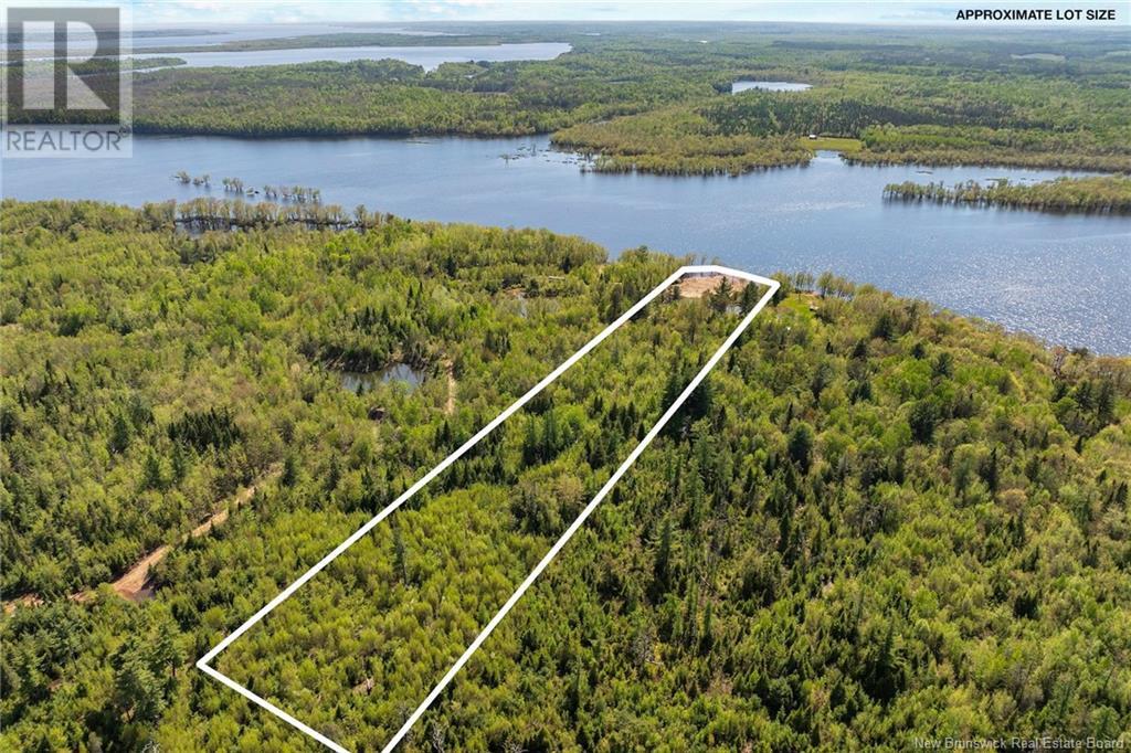 Lot Wegesegum Road, Chipman, New Brunswick  O0O 0O0 - Photo 10 - NB113398