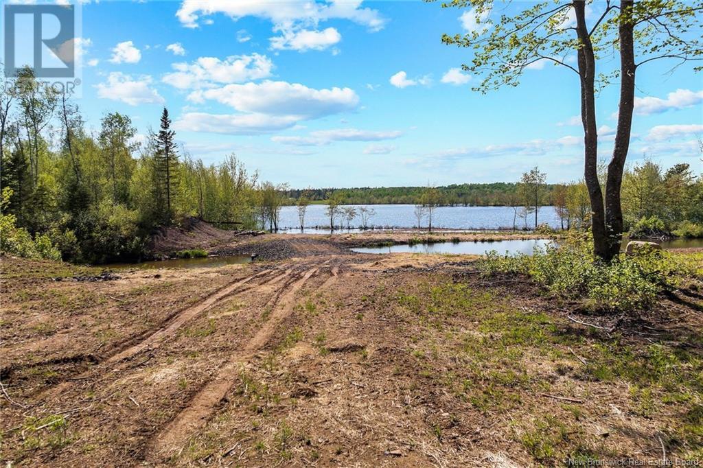 Lot Wegesegum Road, Chipman, New Brunswick  O0O 0O0 - Photo 13 - NB113398