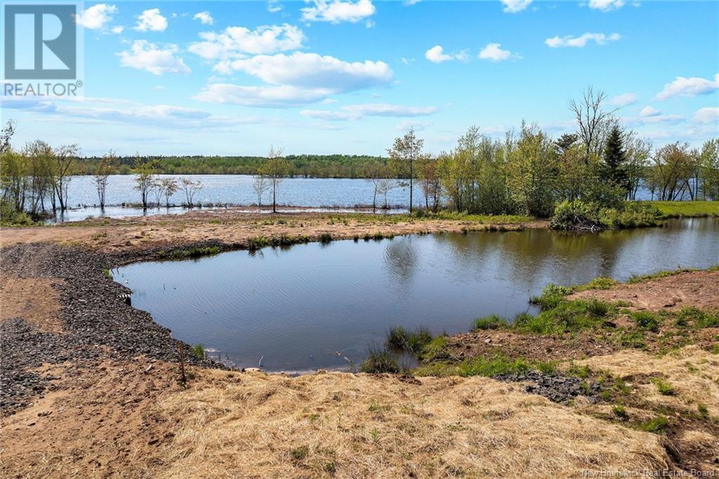 Lot Wegesegum Road, Chipman, New Brunswick  O0O 0O0 - Photo 15 - NB113398