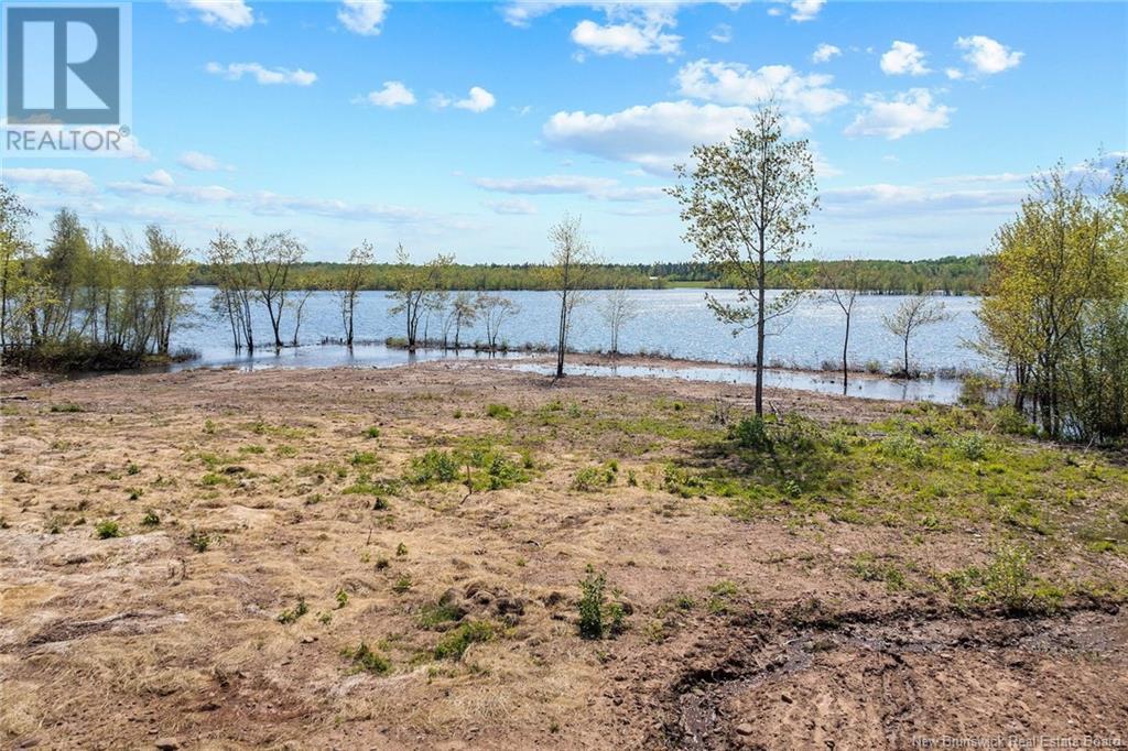 Lot Wegesegum Road, Chipman, New Brunswick  O0O 0O0 - Photo 18 - NB113398