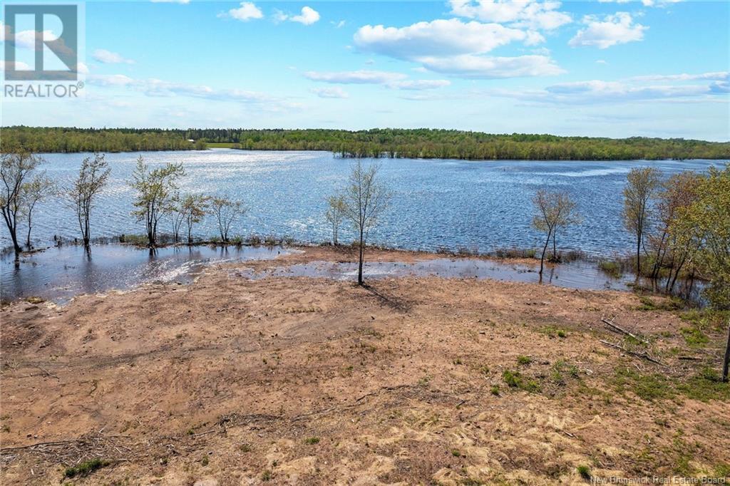 Lot Wegesegum Road, Chipman, New Brunswick  O0O 0O0 - Photo 19 - NB113398