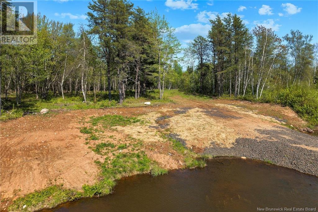 Lot Wegesegum Road, Chipman, New Brunswick  O0O 0O0 - Photo 25 - NB113398