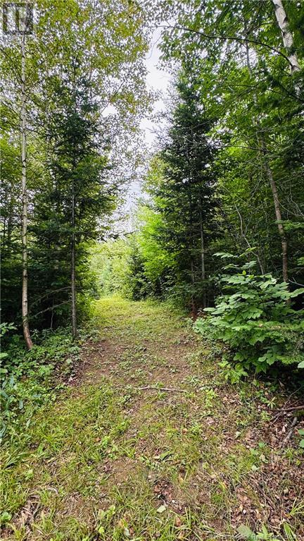 245 Hunter Road, Oakland, New Brunswick  E7L 3X8 - Photo 47 - NB113450