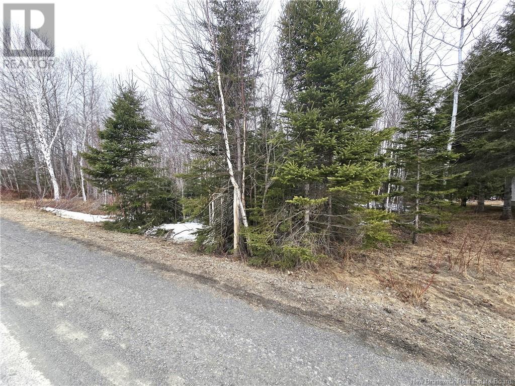 4e Avenue, Clair, New Brunswick  E7A 2B2 - Photo 11 - NB113604
