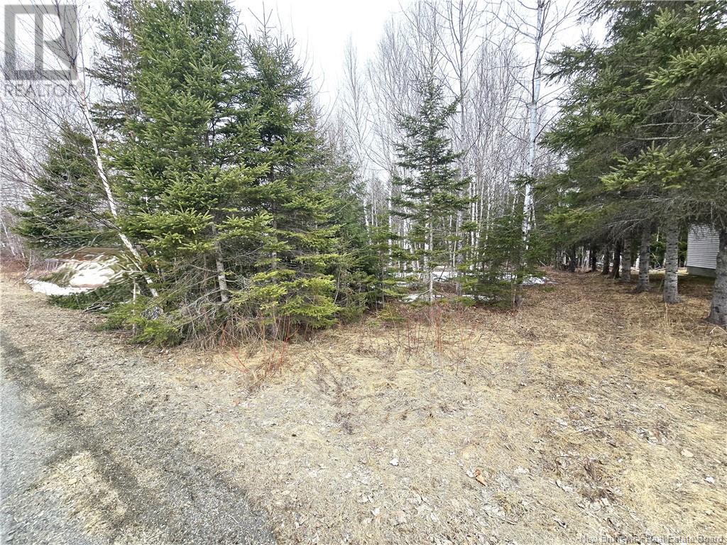 4e Avenue, Clair, New Brunswick  E7A 2B2 - Photo 12 - NB113604