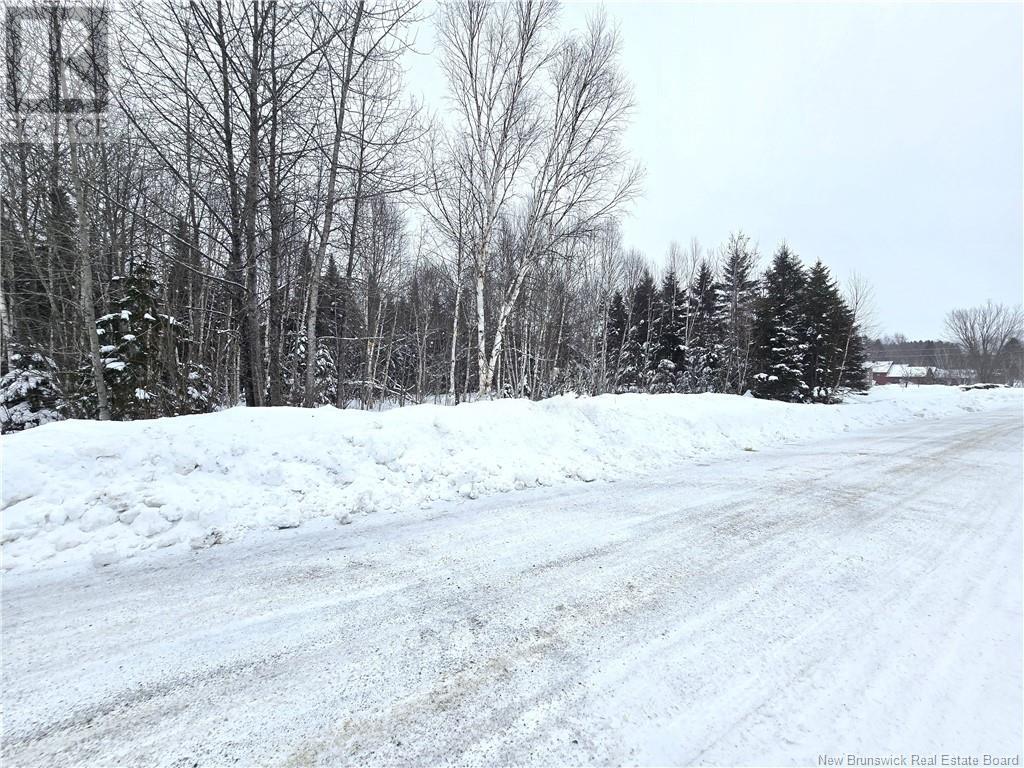4e Avenue, Clair, New Brunswick  E7A 2B2 - Photo 15 - NB113604