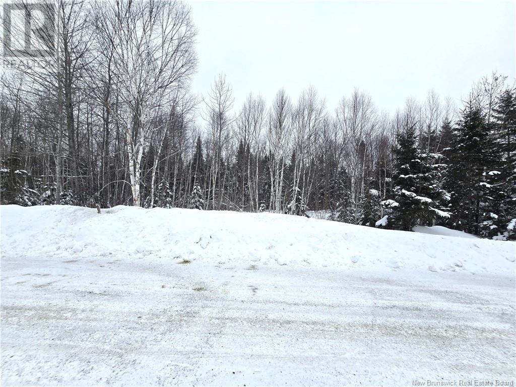 4e Avenue, Clair, New Brunswick  E7A 2B2 - Photo 16 - NB113604