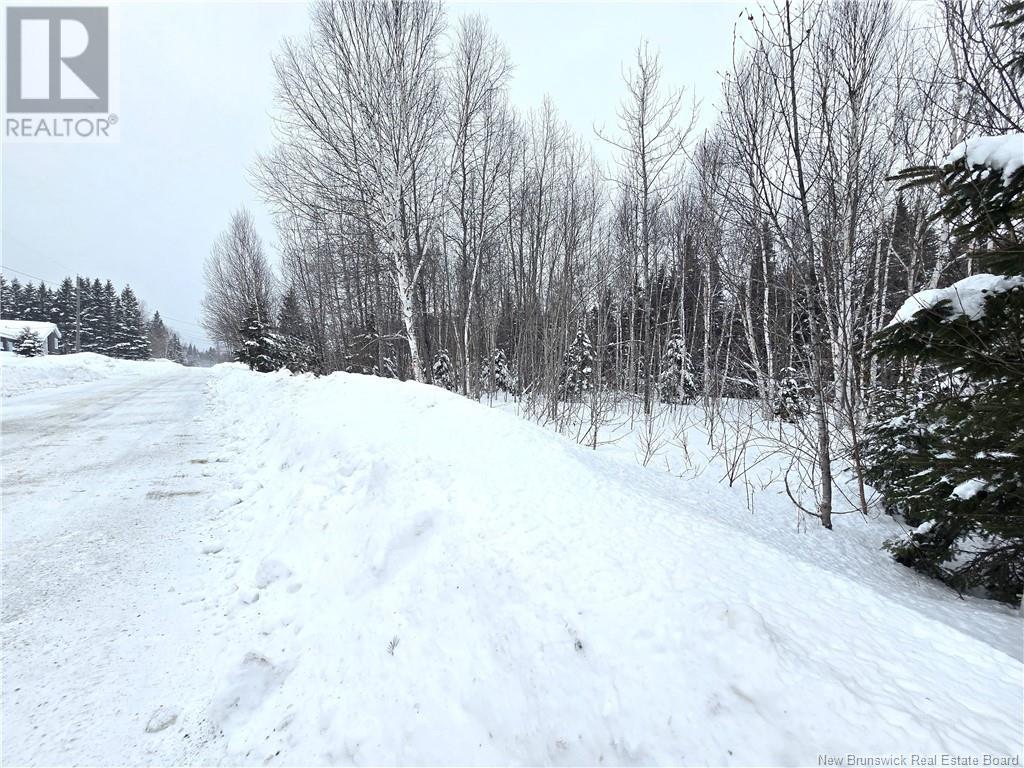 4e Avenue, Clair, New Brunswick  E7A 2B2 - Photo 17 - NB113604