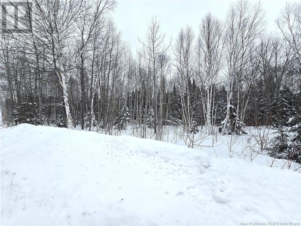 4e Avenue, Clair, New Brunswick  E7A 2B2 - Photo 19 - NB113604