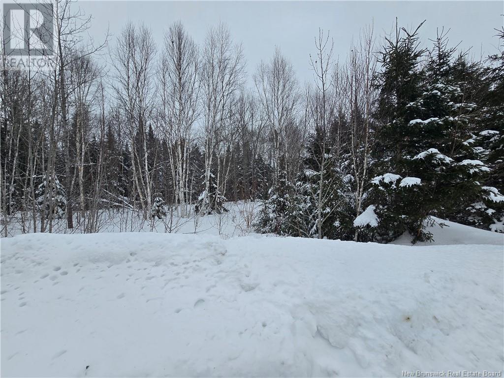 4e Avenue, Clair, New Brunswick  E7A 2B2 - Photo 20 - NB113604
