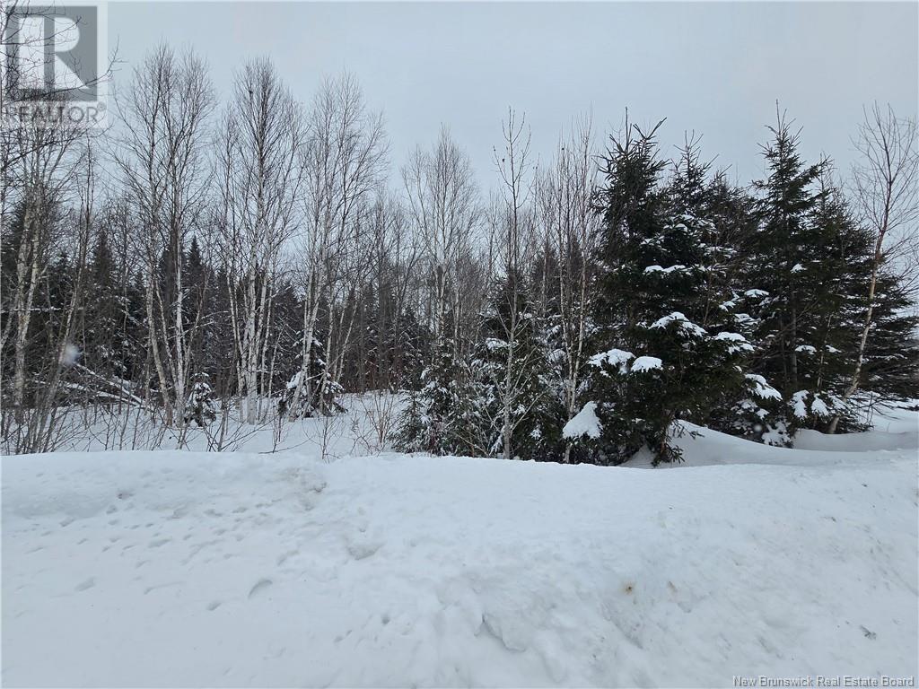 4e Avenue, Clair, New Brunswick  E7A 2B2 - Photo 21 - NB113604