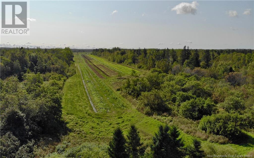 2359 Acadie, Bas Cap Pele, New Brunswick  E4N 1B3 - Photo 8 - NB113840