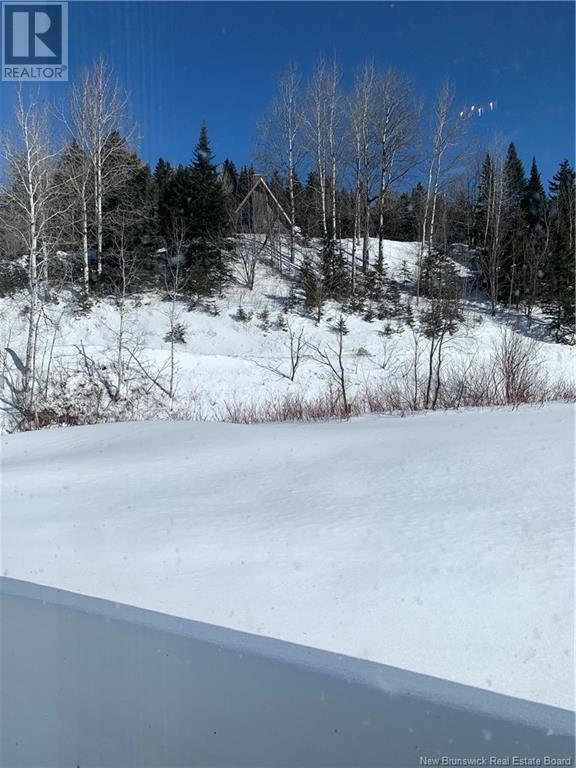 1258 Rte 270, Val-D'amour, New Brunswick  E3N 5M5 - Photo 21 - NB112767