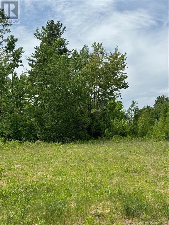 Lot Sunset View Lane, Cumberland Bay, New Brunswick  E4A 3L9 - Photo 7 - NB113868
