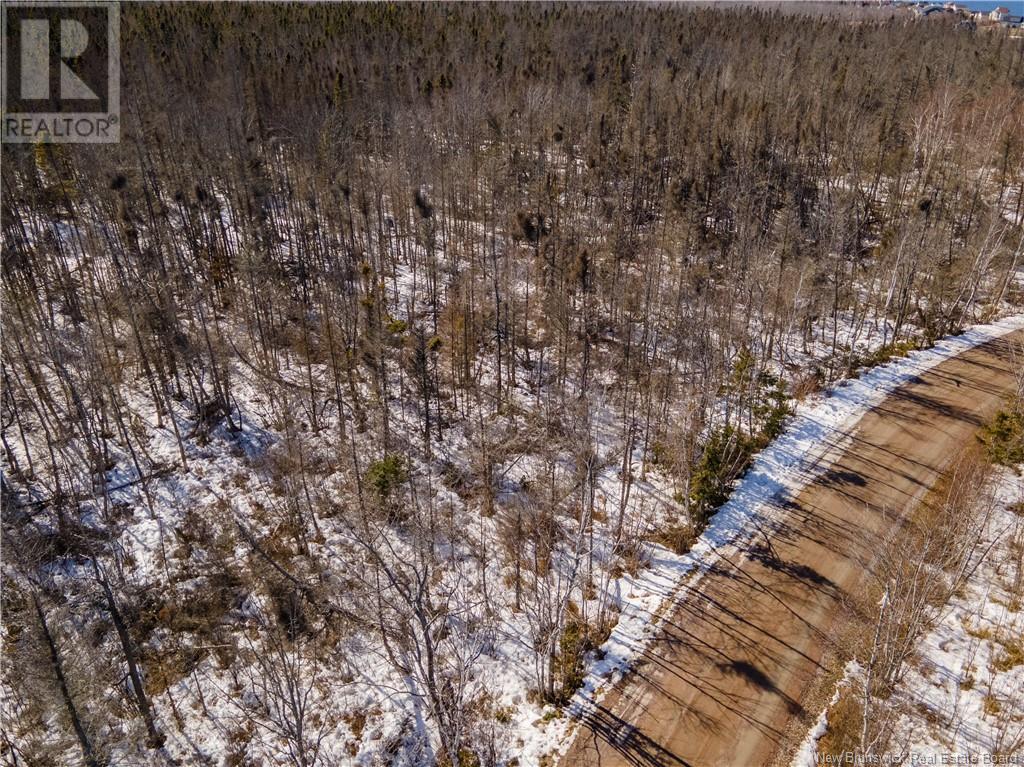 Lot 80-7 Birch Road, Grand-Barachois, New Brunswick  E4P 6V3 - Photo 3 - NB113715