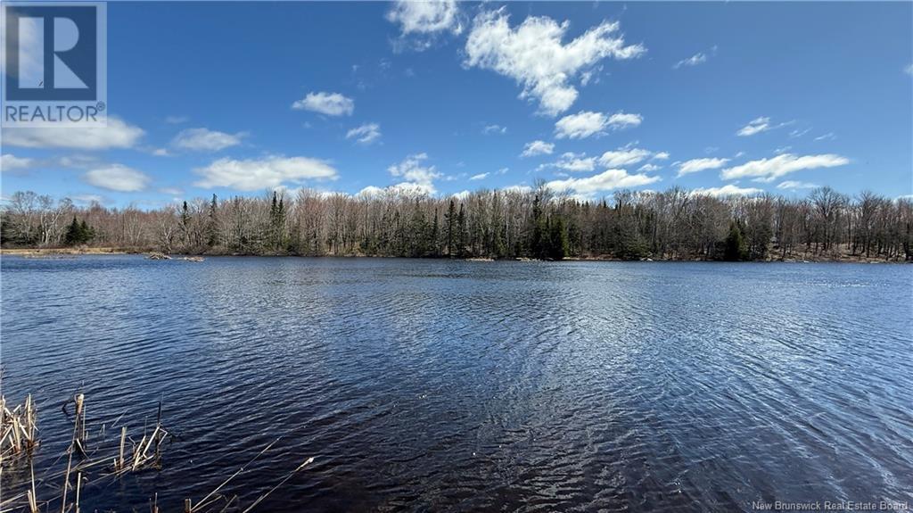 9 Stevenson Lane, East Grand Lake, New Brunswick  E6H 1Y6 - Photo 24 - NB114075