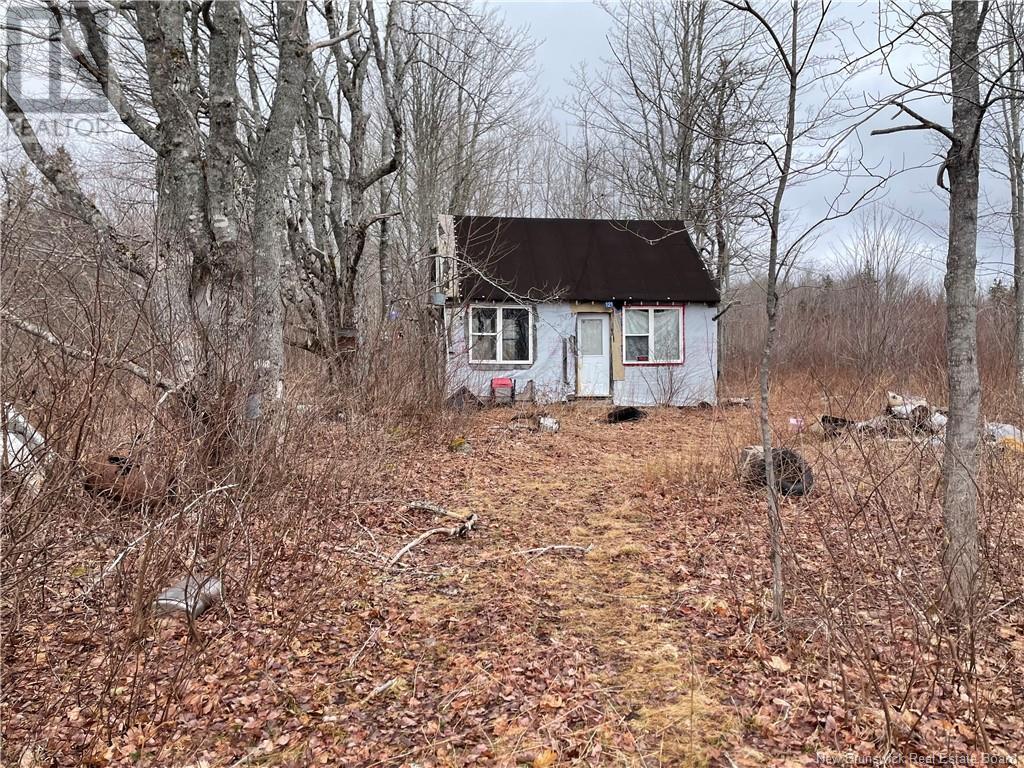 Lot Chemin Saint Irenee, Girouardville, New Brunswick  E1X 2B5 - Photo 2 - NB114172