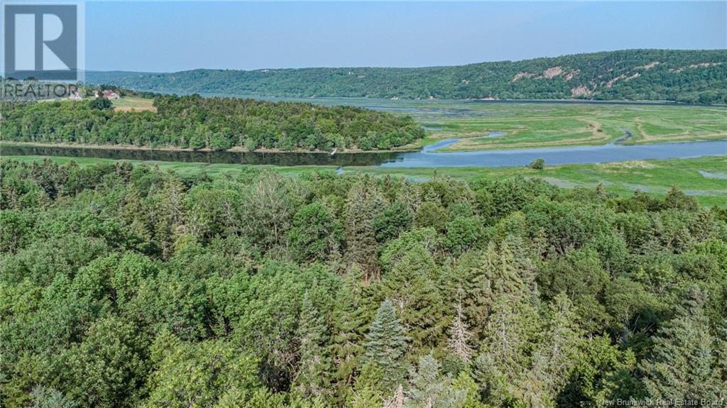 Land Darlings Island Road, Nauwigewauk, New Brunswick  E5N 6V7 - Photo 15 - NB114232