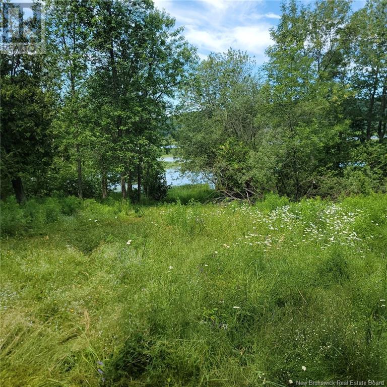 Land Darlings Island Road, Nauwigewauk, New Brunswick  E5N 6V7 - Photo 17 - NB114232