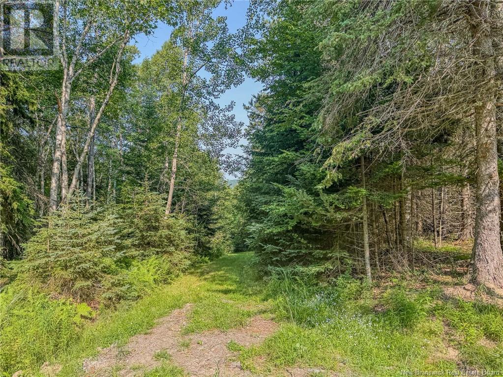 Land Darlings Island Road, Nauwigewauk, New Brunswick  E5N 6V7 - Photo 18 - NB114232