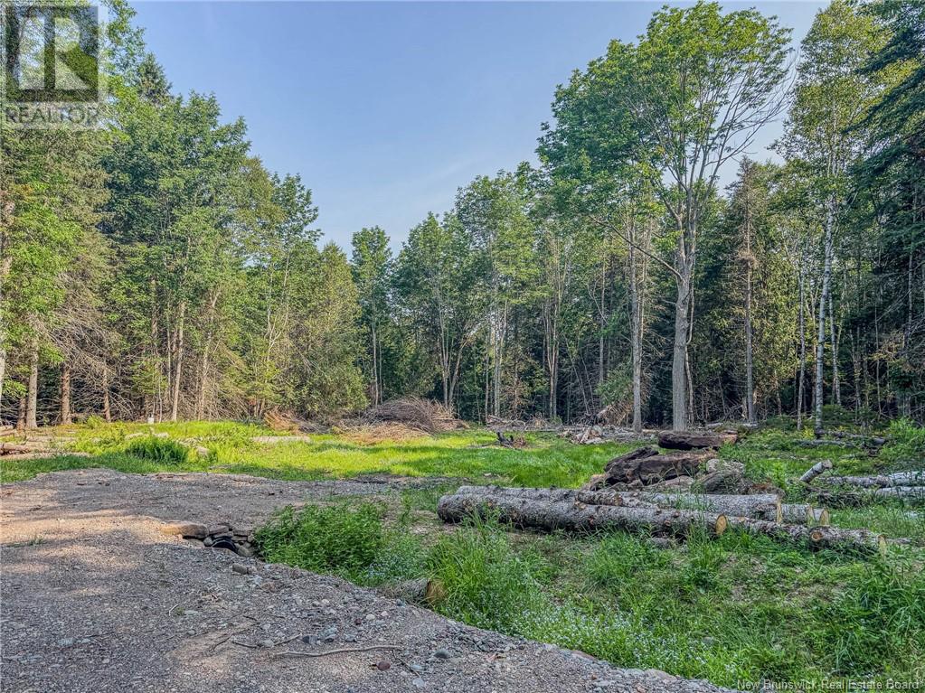 Land Darlings Island Road, Nauwigewauk, New Brunswick  E5N 6V7 - Photo 20 - NB114232