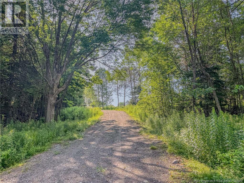 Land Darlings Island Road, Nauwigewauk, New Brunswick  E5N 6V7 - Photo 21 - NB114232