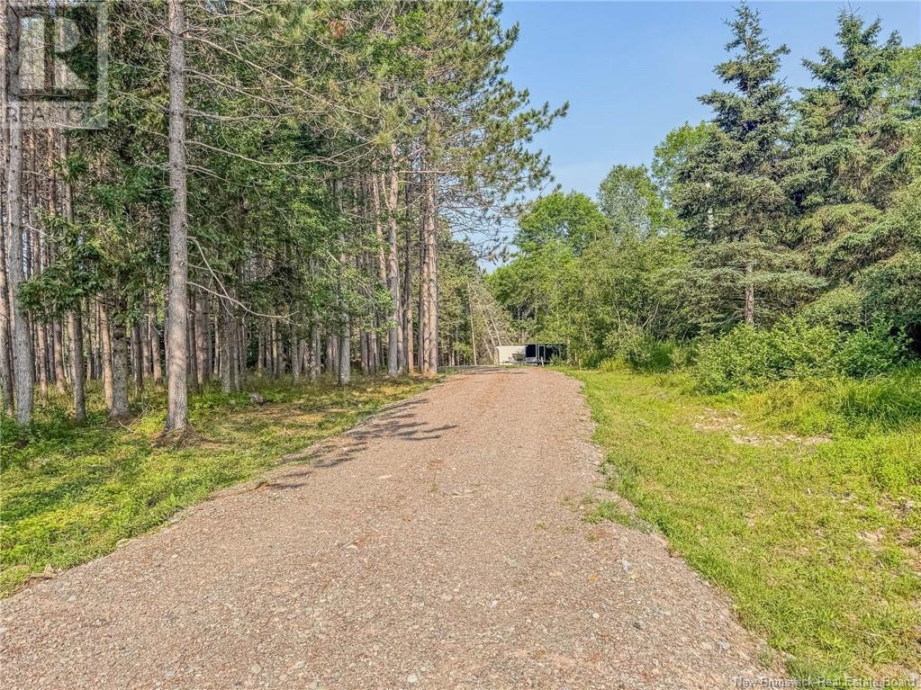 Land Darlings Island Road, Nauwigewauk, New Brunswick  E5N 6V7 - Photo 23 - NB114232