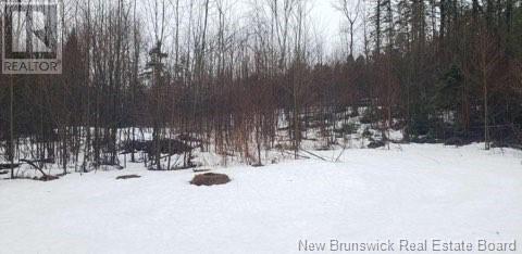 935 Route 575, Pole Hill, New Brunswick  E7P 1Z7 - Photo 19 - NB114257