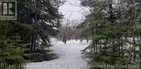 935 Route 575, Pole Hill, New Brunswick  E7P 1Z7 - Photo 20 - NB114257