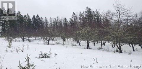 935 Route 575, Pole Hill, New Brunswick  E7P 1Z7 - Photo 22 - NB114257