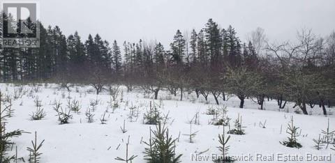 935 Route 575, Pole Hill, New Brunswick  E7P 1Z7 - Photo 23 - NB114257