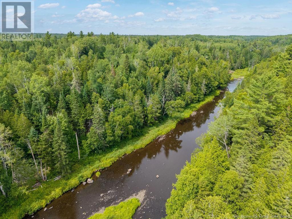 50 Walsh Road, Whitney, New Brunswick  E1V 4K1 - Photo 2 - NB114244
