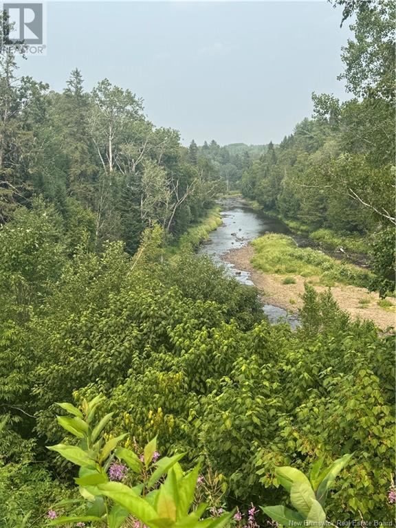 50 Walsh Road, Whitney, New Brunswick  E1V 4K1 - Photo 3 - NB114244